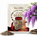 5 Wisteria Bonsai Seeds | Grow Your Own Flowering Bonsai Tree | Purple Wisteria Tree Seeds for Outdoor or Container Growing