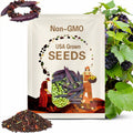 Shiraz Sweet Green Pea Seeds | Vibrant Purple Pods & Tender Green Peas | Cool Season Garden Favorite