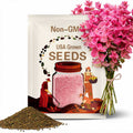 50 'PINK Sundae' Clary SAGE / SALVIA Viridis Herb Flower Seeds *Comb S/H