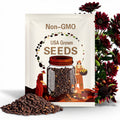 50 Chocolate Cherry Sunflower seeds. Ships free