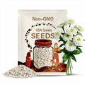 White Zinnia Flower Seeds