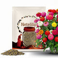 Zinnia Lilliput Flower Mix Seeds 200+ Mixed Annual COLORFUL USA