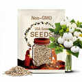 10 Baby Boo Pumpkin Seeds. Ships free