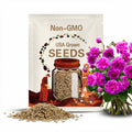 25 Plenum Geranium Seeds: Rare Double Bloom, Hardy Border Flower