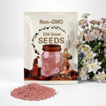 25Pcs Pink white Clematis Seeds Flowers Perennial Seed Flower. (#1130)