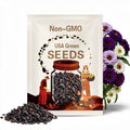 Blueberry Cheesecake Zinnia Seeds: Lavender, Purple & White Double Blooms