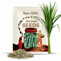Long Green Improved Cucumber Seeds 50+ Vegetable Garden NON-GMO USA