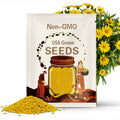 YELLOW Profusion Zinnias 50 seeds Free Shipping