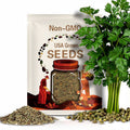 Parsley Hamburg Rooted Seeds 500+ Herb Heirloom NON-GMO USA