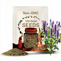 Anise Hyssop Seeds – Agastache foeniculum 250 Seeds | Fragrant Purple-Blue Blooms, Easy-to-Grow Perennial for Gardens & Pollinator Beds