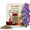 Clematis Vine Seeds – Mixed Color Varieties – Large Flowering Perennial Climbing Plants for Garden