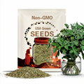 1000+ Catnip Seeds, Catnip Herb Seeds, Cat Attractant, Non-GMO, Easy to Grow, High germination, Catmint Seeds, Herb Seeds