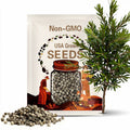 Northern Bayberry Tree Seeds (Myrica Pensylvanica)