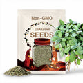 Sage Seeds - Organic, Heirloom, Open Pollinated, Non GMO - Grow Indoors, Outdoors, Pots, Grow Beds, Soil, Hydroponics & Aquaponics