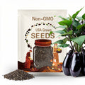 Eggplant Seeds-Nagasaki Long
