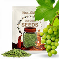 50 GREEN (Dessert / Table) GRAPE Vitis Vinifera Fruit Vine Seeds