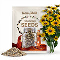 Black Eyed Susan Flower Seeds