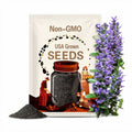 Butterfly Pea Seeds (Clitoria Ternatea)- Hoa Đậu Biếc - Organic