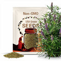Alfagraze 600 RR Seed
