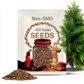 Yunnan Cypress Tree Seeds (CUPRESSUS DUCLOUXIANA)