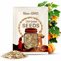 Heirloom Fairytale Musquee de Provence Pumpkin Seeds Free Ship