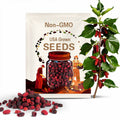 30 Seeds| Red Mulberry Seeds – Morus Rubra – Organic Fruit Tree Seeds for Sweet Edible Berries, Dark & Sweet Fruit, Sacred Tree#New 5-20