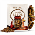 Brown Russian Cucumber Seeds | Heirloom | Organic