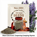 Creeping Thyme Seeds: Fragrant Purple Ground Cover, Deer Resistant
