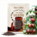 Rebel Starfighter Prime tomato Seeds (15)