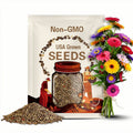200 China Aster Single Mix Seeds, Flowers Plant Seeds for Home Garden