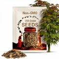 Arakawa Japanese Maple Tree Seeds (Rough Bark Maple)