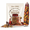 30 Exotic Maize Mix Seeds – Multicolor Corn Varieties – Blue, Red, White & Yellow Kernels