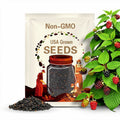 Blackberry Seeds - Organic, Heirloom, Open Pollinated, Non GMO - Grow Indoors, Outdoors, In Pots, Grow Beds, Soil, Hydroponics & Aquaponics