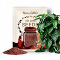 30+ Ancho Poblano Pepper Seeds  Non-GMO Heirloom Garden Seeds | Mild Chili Peppers | Easy to Grow | Fresh USA Vegetable Seeds