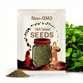 PAPALO SEEDS | Porophyllum ruderale | Heat-Tolerant Herb for Salsa, Tacos, and Salads - 100+