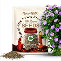 25 Rozanne Geranium Seeds: Violet Blue Perennial Blooms - Pollinator Friendly
