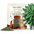 22,500 Arugula Seeds (Slow Bolt) | Heirloom, Non-GMO, Vegetable Gardening, Seed Packets, Easy To Grow Seeds, Eruca vesicaria sativa