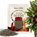 Alnus hirsuta | Manchurian Alder | 20 Seeds