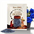 20 Blue Rose Seeds – Unique and Special Rose Variety with Deep Blue Blooms, Romantic Garden Flower for Pots, Borders, and Floral Displays
