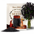 1000 BLACK BEAUTY EGGPLANT Solanum Melongena Esculentum Vegetable Seeds