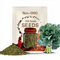 Collards Seeds | Heirloom, Organic, Non-GMO, Easy to Grow | Georgia Great, Champion, Morris Heading, Vates | Combo Pack or Individual Packet
