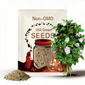 Venezia Morning Glory 40 Perennial Flower Seeds
